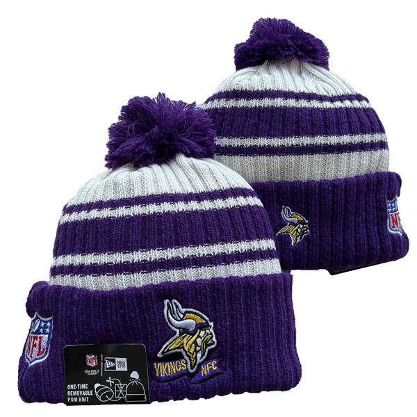 Minnesota Vikings Knit Hats 054